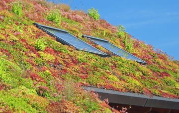 Bircholt Forstal living roof systems